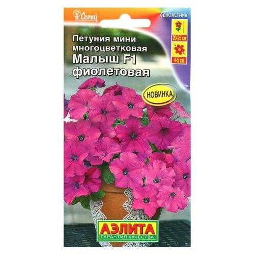 ���������� ������ ������� ���� ����� F1 ���������� ��������������, 7 ��