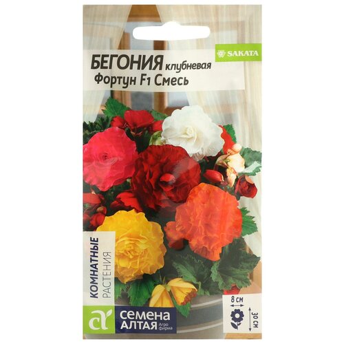 ���������� ������ ������ ������� 