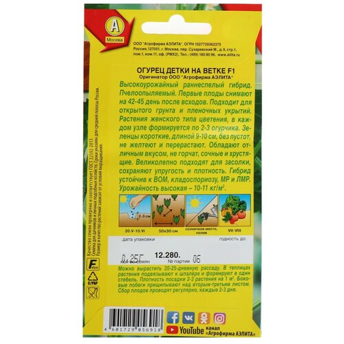 ���������� ������ ������ 