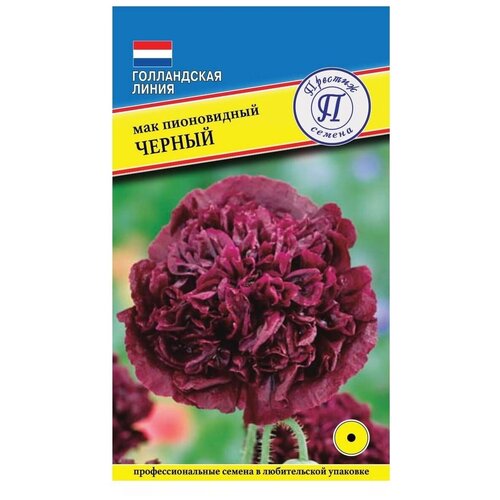 ���������� ������ ���� ������������ 