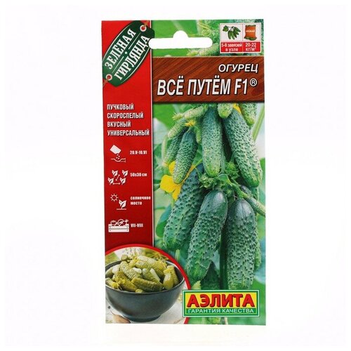 ���������� ��������� ������ ������ ������ 