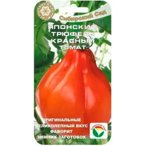 ���������� ������ ����� �������� ������� ������� 20�� ����� (��������� ���)