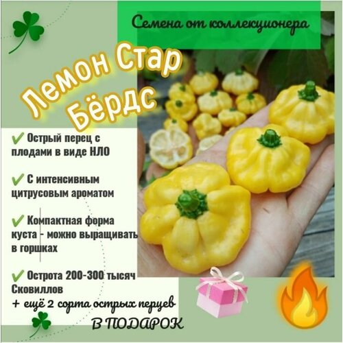 ���������� ����� ������ 