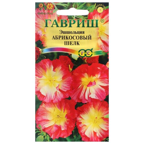 ���������� ������ ������ ��������� �������� 