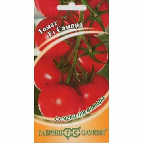 ���������� ������ ����� ������ F1, ������������, �����������, (������) 12��