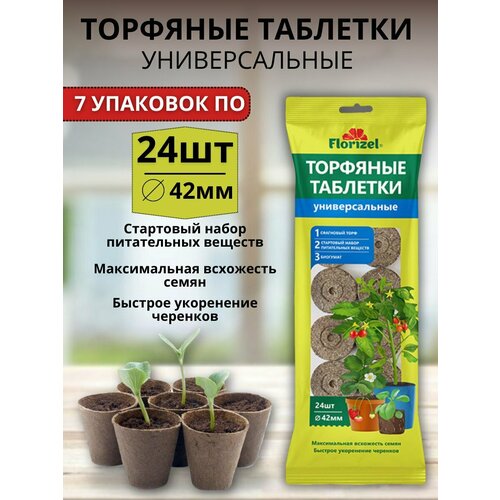 ���������� �������� �������� ������������� ��� ����� � ������� 7 �������� �� 24 �� ������� 42 ��