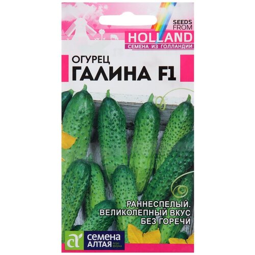 ���������� ������ ������ ����� ������ ������ F1 5 ��.