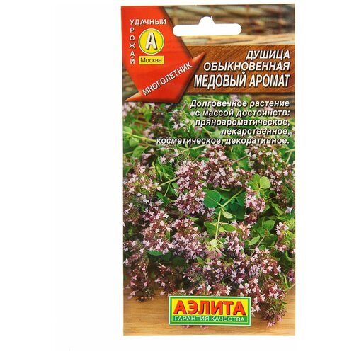 ���������� ������ ������ ������������ 