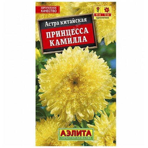 ���������� ����� 