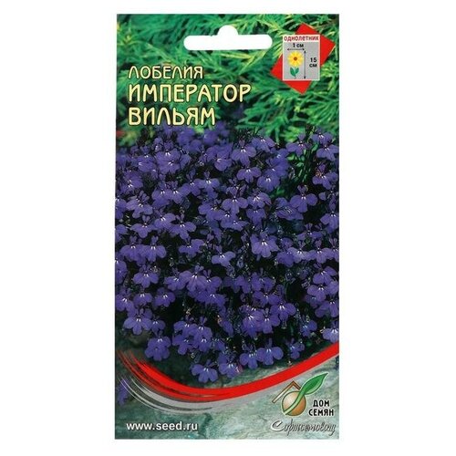 ���������� ������ ������ ������� 