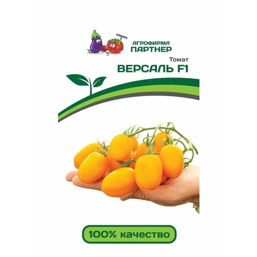 ���������� ����� 