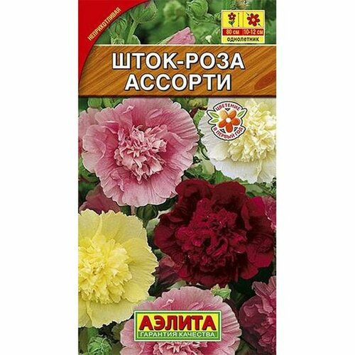 ���������� ������ ����-���� �������, ����� (����������) (������) 15��