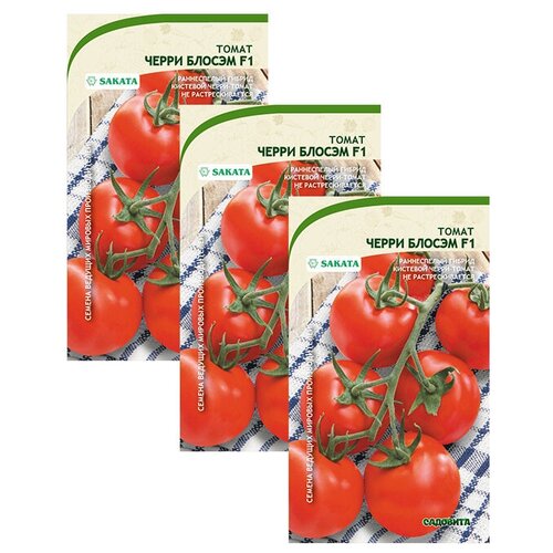 ���������� ������ ����� ����� ������ F1 5�� �������� (3 ������)