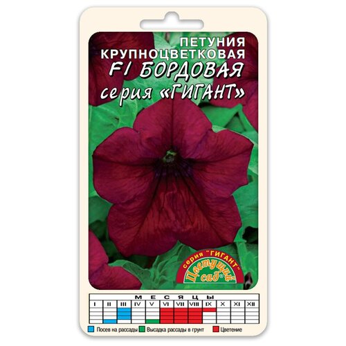 ���������� ����� ������� ��������������� ������ �������� F1 (������ �������� ��� 10 ��. � ������)