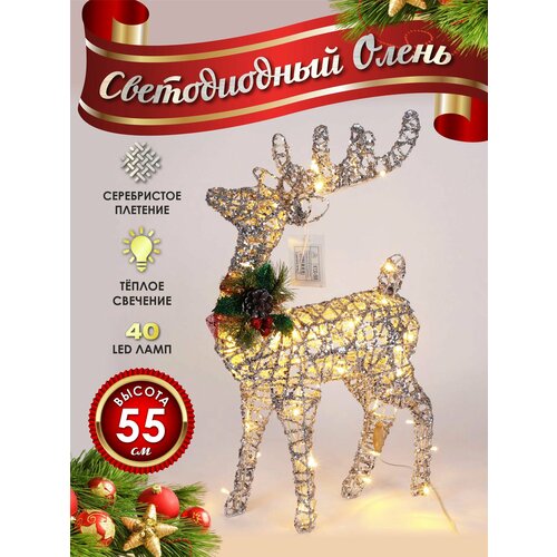 ���������� ����� ���������� ������������ ���������� 50 �� ����������