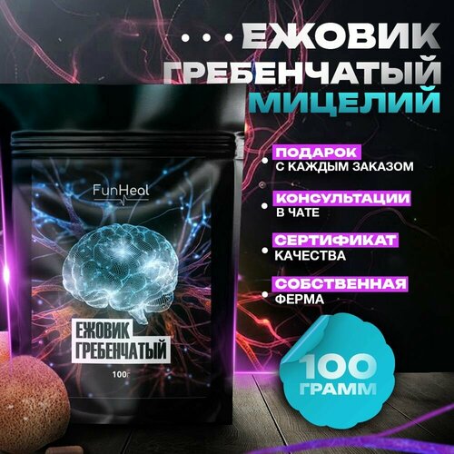 ���������� ������ ����������� ������� � ������� 100 �����