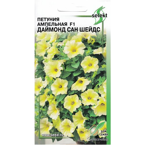 ���������� ������� F1 ������� ��� ����� ���������, ���������������, 10 �����