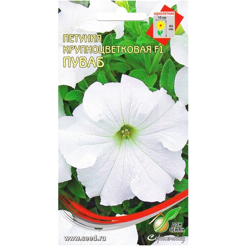 ���������� ������� ����������� ��������������� �����, 30 �����