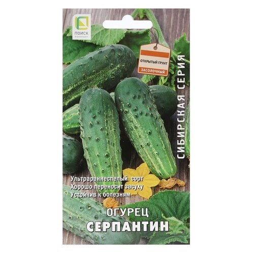 ���������� ������ ����� ��������� ����� ������ ��������� 15 ��.