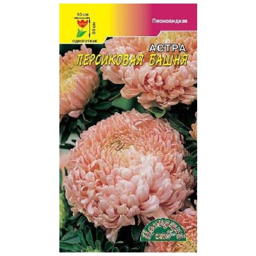 ���������� ������ �������� ��� 