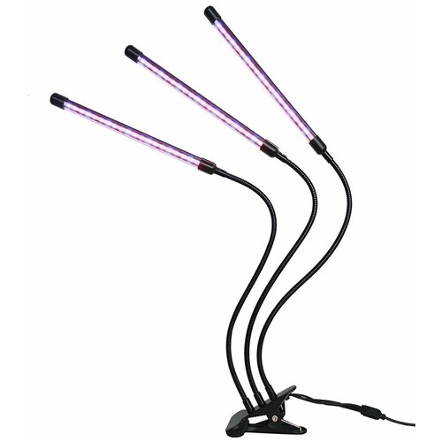 ���������� ������������ ��������� �� �������� 3�10 ��, ������ ������