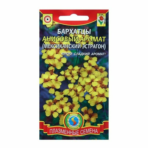 ���������� ������ �������� 