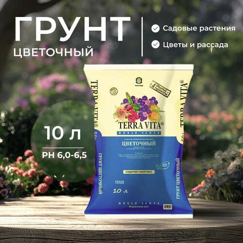 ���������� ������������� ��������� ����� ��� ��������� �������� � ������� 10 �, ����������� ���������� ����� ����� ��� ������