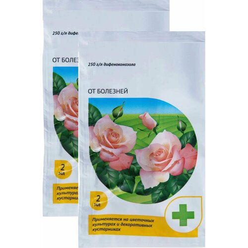 ���������� �������� �� �������� ��� � ������ ��������� �������, 2 ������ �� 2 ��. ����������� �������� ��� ������ � ������������� ��������� ����, ����� ����� � ������ �����������