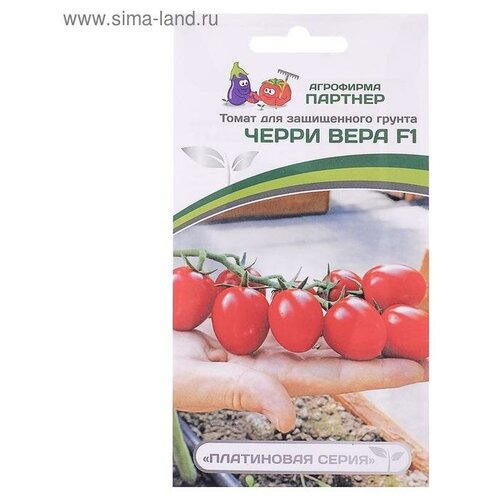 ���������� ������ ������ ����� 