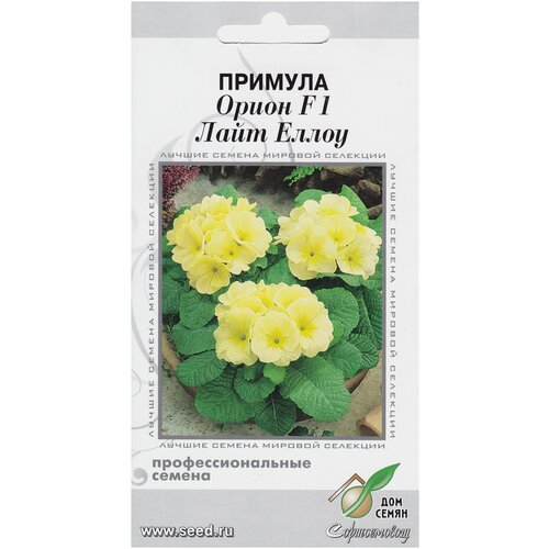 ���������� ������� F1 �����, ���� �����, 5 �����