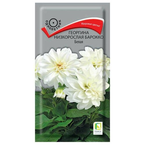 ���������� ������ �������� ����������� ������� ����� ���������� 0,1 ��.