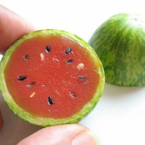 ���������� ����-����� ���������, ������