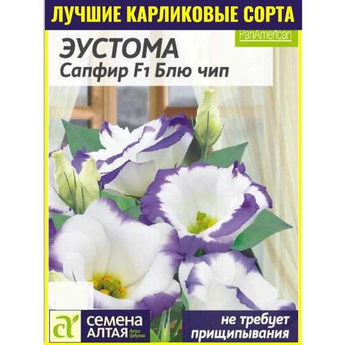 ���������� ������ ������� ����������� ������ F1 ��� ��� - 5 ��. ���������� ���� �������� PanAmerican � ������������� ��������