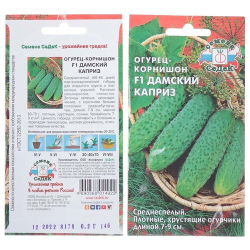 ���������� ������ ������, ������� ������ F1, ������� ��������, �����