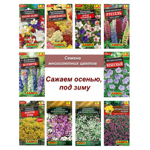 ���������� ������ �������������, ����� ����� ����������� ������