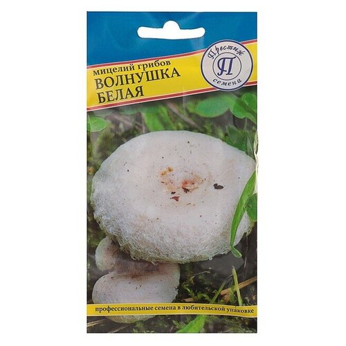 ���������� ������� ������ �������� �����, 60 ��