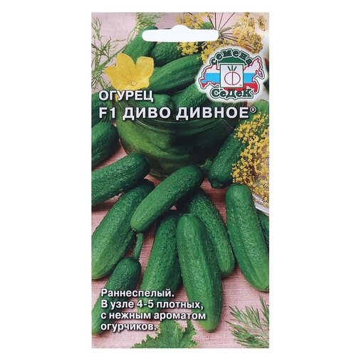 ���������� ������ ����� ������ ���� ������ F1 0,2 �