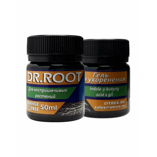 - Orange Tree DR. Root 50,      , -, 