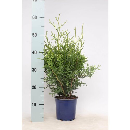 ���������� �������� ��� �������� ������� 881628 �2 H30-40