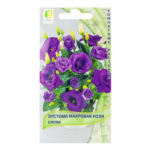 ���������� ������� �������� ���� ����� 5 �� /10