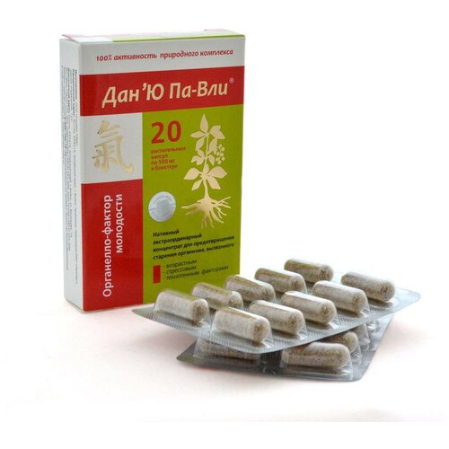 ���������� ���'� ��-��� ���������-������ ���������, 20 ������