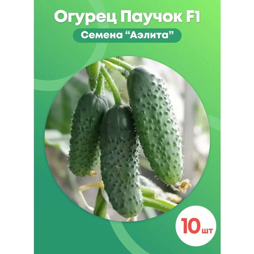 ���������� ������ ������ 