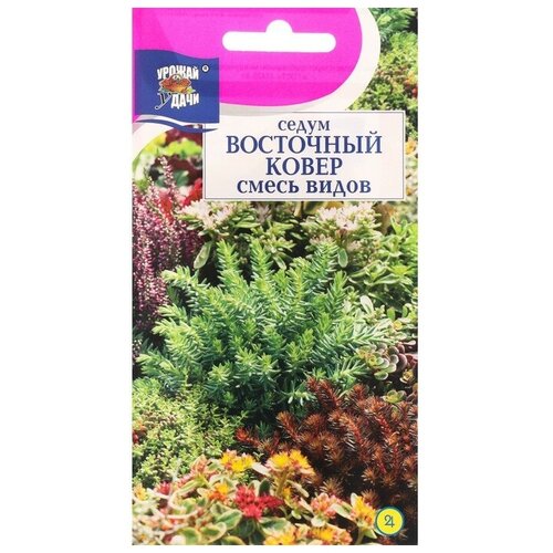 ���������� ������ ������ ����� 