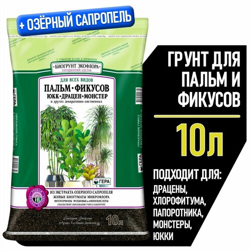 ���������� ����� ��� ������� � ����� ����, ����� ��� ������ ����������, ������� � ��������, ����������� � �����������, �������, ������������ � �����������-���������� ��������, 10 �.