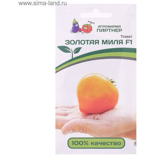 ���������� ������ ����� 