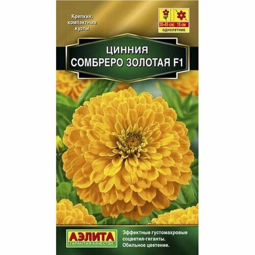 ���������� ������ ������ �������� F1 �������, ����������, (������) 12��