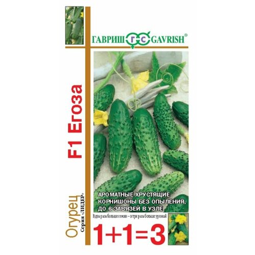 ���������� ������ ������ ����� 20�� ������������������ ������ (������) 1+1