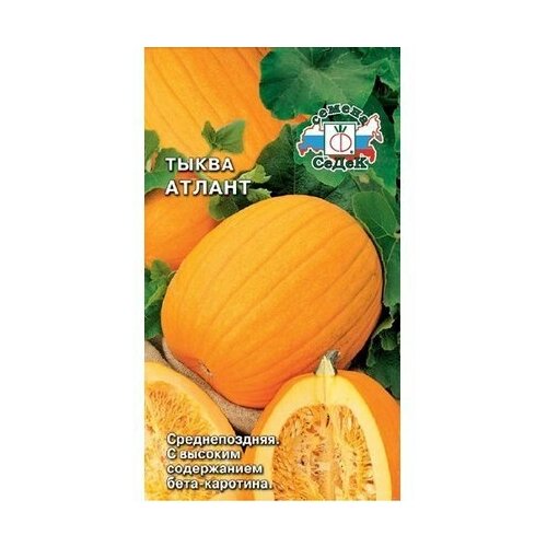 ���������� ������ ����� ����� ������