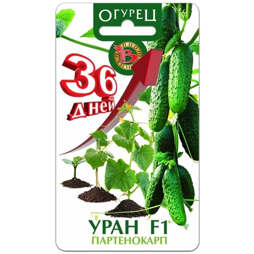 ���������� ������ ������ ���� F1 (8��)