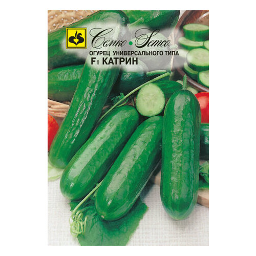 ���������� ������ ������ ������ 10�� ������������������ ������ (�����)